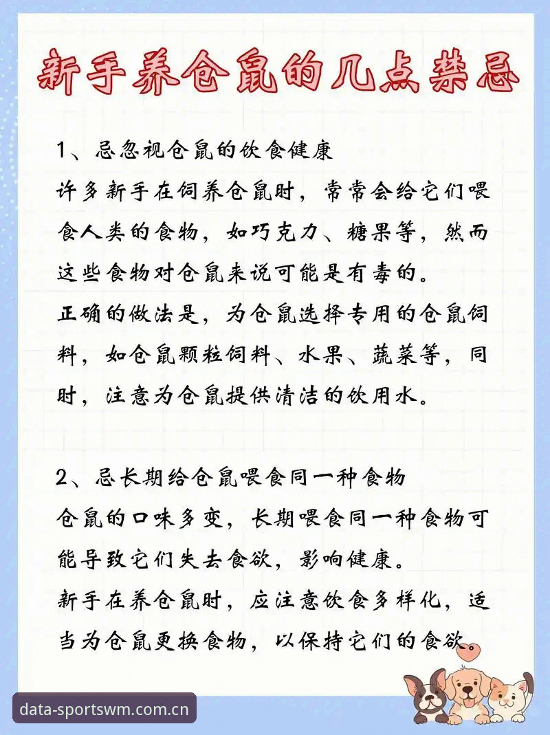 完美体育服务使用教程：从数据小白到赛事分析高手的进阶指南